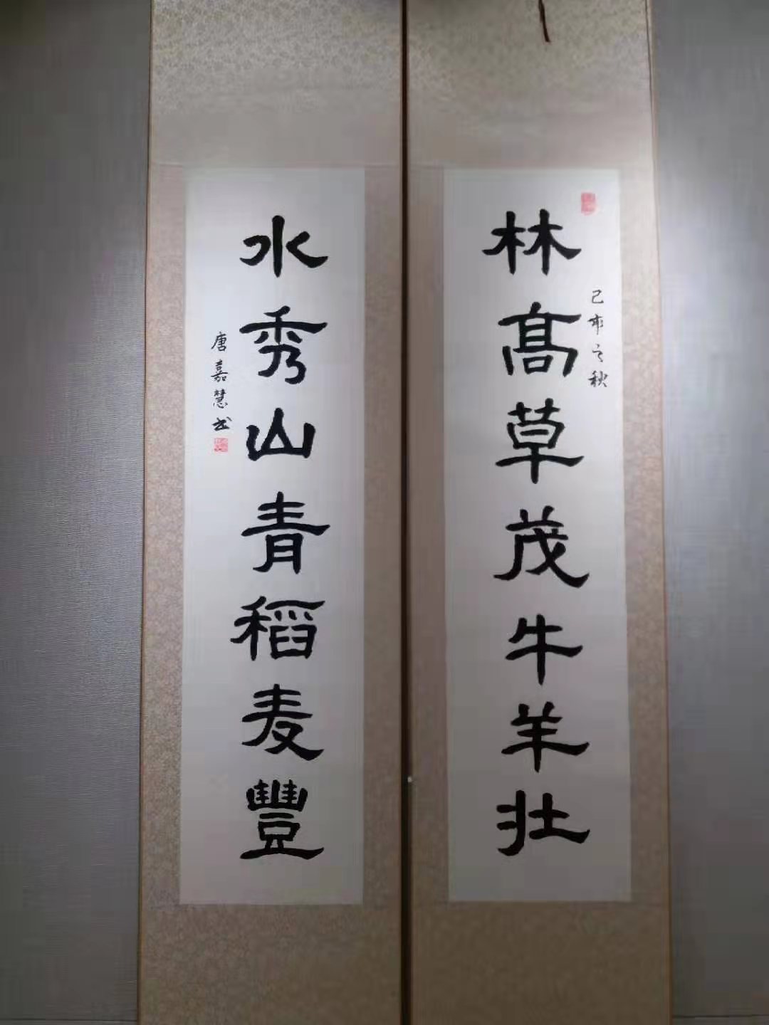 唐嘉慧书法作品1