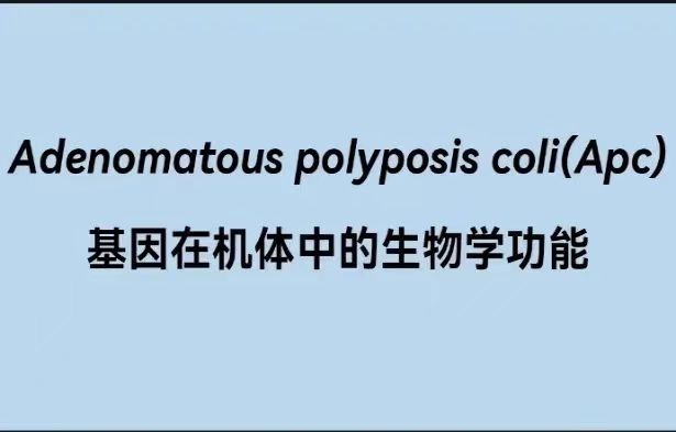 微信图片_20240602192310.jpg
